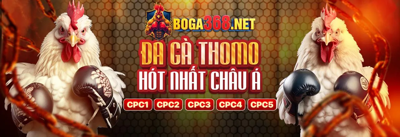 Hướng dẫn chơi xổ số tại ibet888