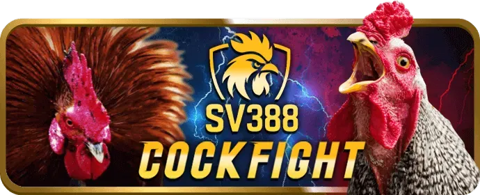 Đa dạng trò chơi cá cược tại ibet888